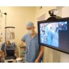Ergotron INTERACTIVE TV ARM WALLMOUNT/30-55IN 8-18KG MIS-E/F POLISHED