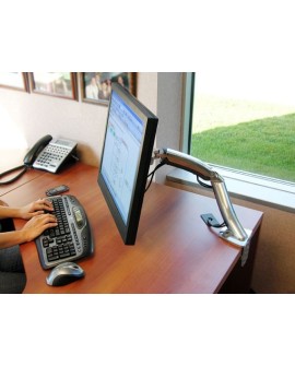 Ergotron MX DESK MOUNT LCD ARM/SILVER