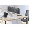 Neomounts DS70-810BL2 uchwyt / stojak do monitorów 81,3 cm (32") Biurko Czarny
