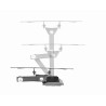 GEMBIRD UCHWYT ŚCIENNY LCD 23"-42" VESA MAX 200 X 200MM, DO 20KG