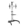 Maclean MC-801 uchwyt do telewizorów 177,8 cm (70") Czarny, Biały