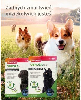 BEAPHAR - obroża na kleszcze refleksyjna dla kociąt i kotów - 35cm