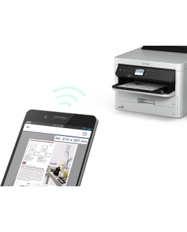 Epson DURABrite Pro