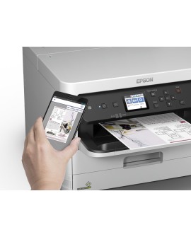 Epson DURABrite Pro