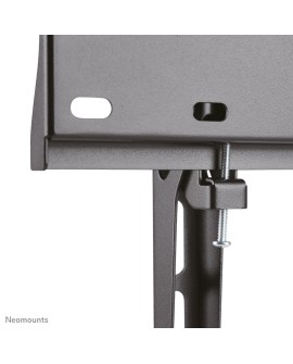 Neomounts by Newstar FPMA-W350 139,7 cm (55") Czarny