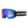 Gogle ALPINA M40 Narkoja (black)