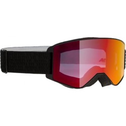 Gogle ALPINA M40 Narkoja...