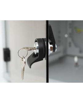 TRITON SZAFA 19" 6U 500 jendoczęść. RBA-06-AS5-CAX-A1