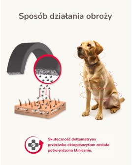 BEAPHAR Canishield S/M - obroża lecznicza z deltametryną dla psów - 48cm