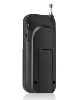 Przenośne Radio JVC RA-E411B