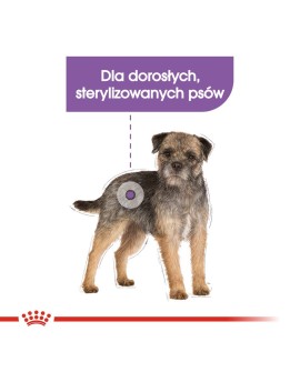 ROYAL CANIN CCN MINI STERILISED - sucha karma dla psa dorosłego - 3kg