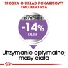 ROYAL CANIN CCN MINI STERILISED - sucha karma dla psa dorosłego - 3kg