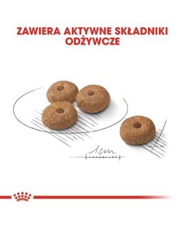 ROYAL CANIN CCN MINI STERILISED - sucha karma dla psa dorosłego - 3kg