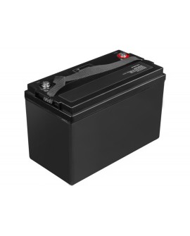 GREEN CELL AKUMULATOR LIFEPO4 CAV13 12/12,8V 125AH 1600WH / M8