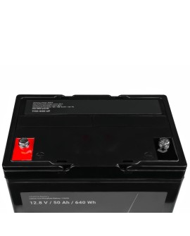 GREEN CELL AKUMULATOR LIFEPO4 CAV06 12/12,8V 50AH 640WH / M8