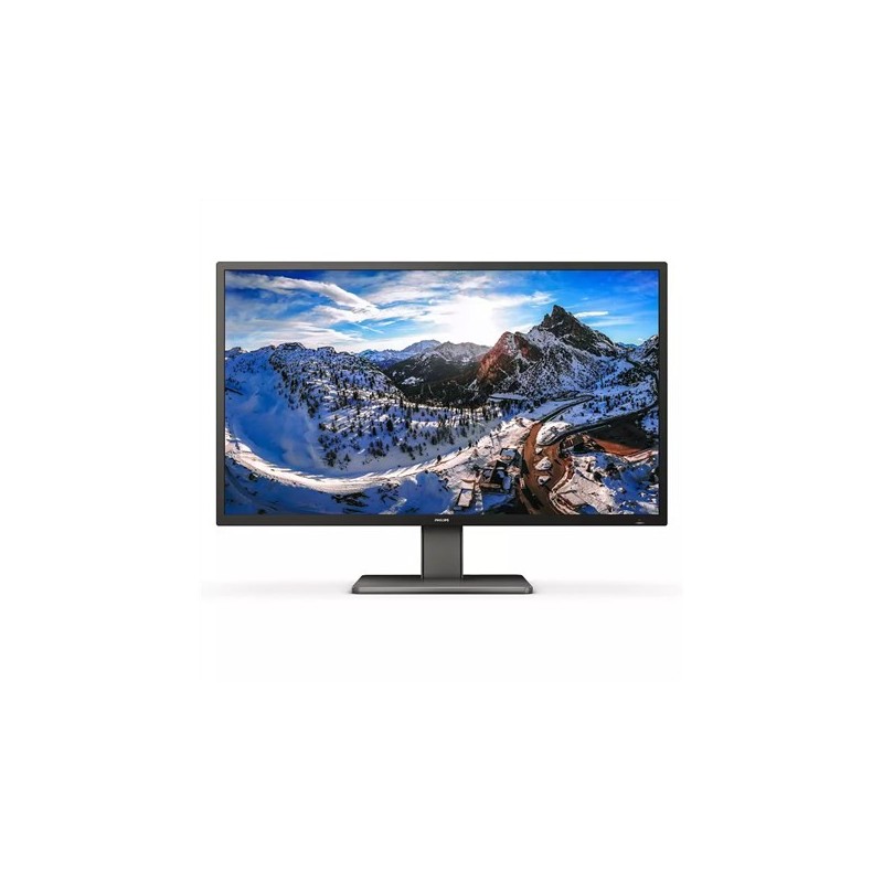 PHILIPS 439P1/00 42.5inch 3840x2160 VA Flat H/A AdativeSync USB-C Dock 90w