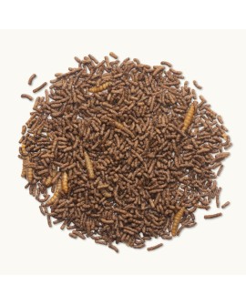 Beaphar kompletna karma dla jeży 1 kg