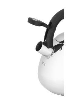 Czajnik stalowe Tefal K2481574 (2.6l kolor srebrny)