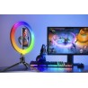 TRACER LAMPA PIERŚCIENIOWA RING RGB 26CM MINI STATYW