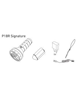 Latarka Ledlenser P18R Signature