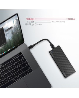 Axagon EM2-GTR Obudowa SSD Czarny M.2
