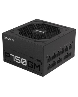 Zasilacz Gigabyte P750GM 750W 80+ Gold