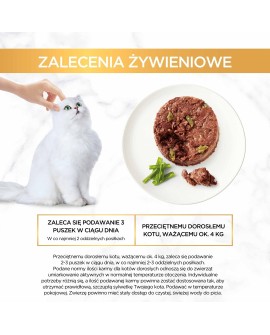 Gourmet Gold Savoury Cake jagnięcina i zielona fasola - mokra karma dla kota - 85 g