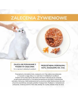 Gourmet Gold Savoury Cake kurczak i marchewka - mokra karma dla kota - 85 g