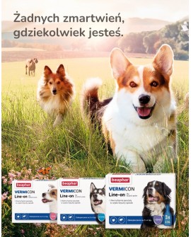 BEAPHAR VERMIcon Line-on Dog L - krople przeciw pasożytom dla psa - 3x 4,5ml