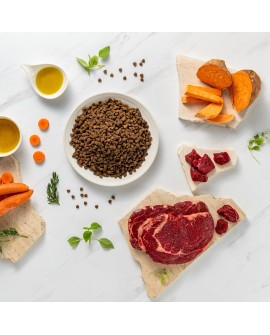 VetExpert Raw Paleo Ultra Wołowina Mini Puppy 2kg