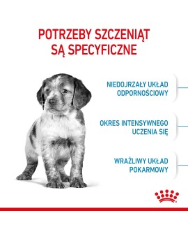 ROYAL CANIN SHN Medium Puppy - sucha karma dla szczeniąt - 15 kg