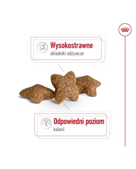 Royal Canin SHN Mini Adult 4kg