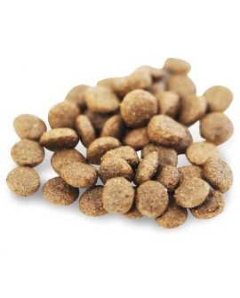 Fish4Dogs Superior Senior z łososiem (S) 1,5kg