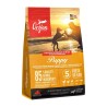 ORIJEN Puppy 2kg