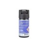 Gaz pieprzowy Police Perfect Guard 300 - 40 ml. chmura