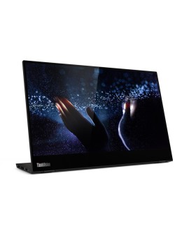 Lenovo ThinkVision M14t 14.0"FHD 60Hz 300nits IPS USB­C