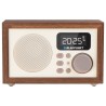 Radioodtwarzacz Blaupunkt HR5BR (kolor brązowy)