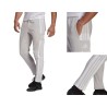 Spodnie męskie Adidas pants jasnoszare GT6644