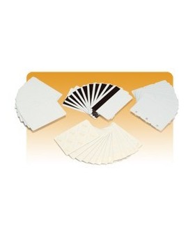 Białe karty PVC Zebra (500 kart)