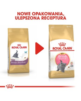 Royal Canin FBN British Shorthair Kitten - sucha karma dla kociąt - 2 kg