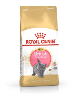 Royal Canin FBN British Shorthair Kitten - sucha karma dla kociąt - 2 kg