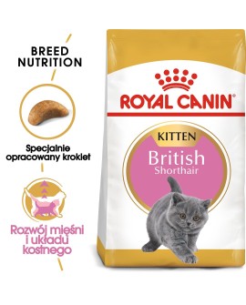 Royal Canin FBN British Shorthair Kitten - sucha karma dla kociąt - 2 kg