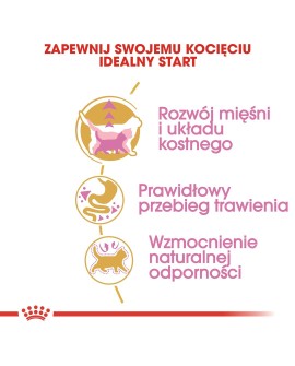 Royal Canin FBN British Shorthair Kitten - sucha karma dla kociąt - 2 kg