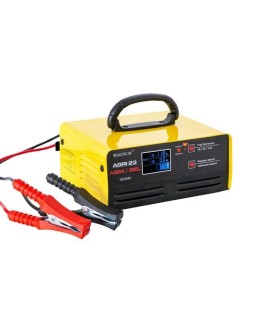 PROSTOWNIK INWERTOROWY AGRI 23 AGM/GEL12/24V 250Ah