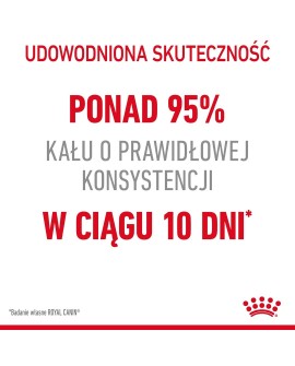 ROYAL CANIN FCN Digestive Care - sucha karma dla kota dorosłego - 4 kg