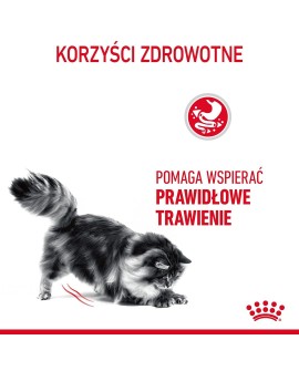 ROYAL CANIN FCN Digestive Care - sucha karma dla kota dorosłego - 4 kg