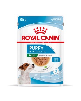 ROYAL CANIN SHN Mini Puppy w sosie - mokra karma dla szczeniąt - 12X85 g