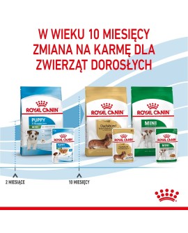 ROYAL CANIN SHN Mini Puppy w sosie - mokra karma dla szczeniąt - 12X85 g