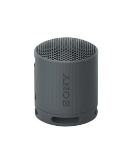 Sony SRS-XB100 Głośnik mono przenośny Czarny