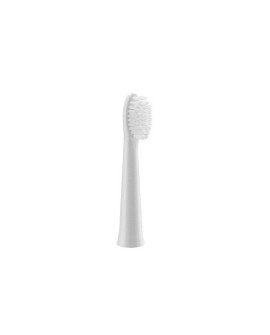 Panasonic WEW0972W503 Końcówki do szczoteczki